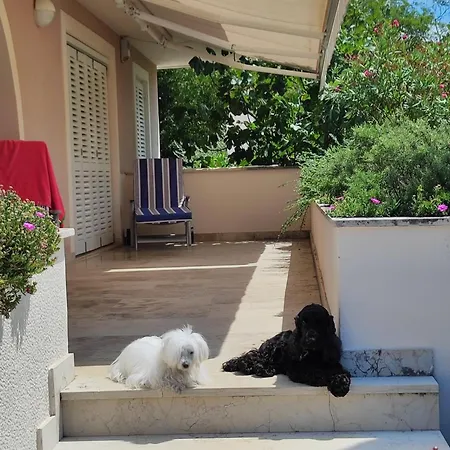 Villa Slava *